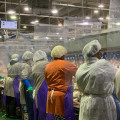 The Impact of Health Regulations in Hall County, Georgia