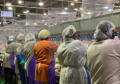 The Ins and Outs of Health Regulations in Hall County, Georgia